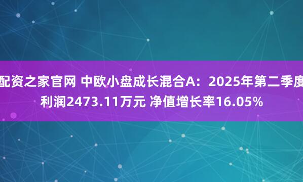 配资之家官网 中欧小盘成长混合A：2025年第二季度利润2473.11万元 净值增长率16.05%