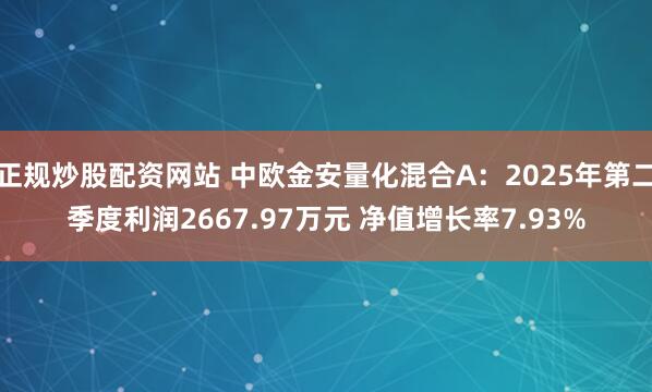 正规炒股配资网站 中欧金安量化混合A：2025年第二季度利润2667.97万元 净值增长率7.93%