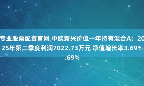 专业股票配资官网 中欧新兴价值一年持有混合A：2025年第二季度利润7022.73万元 净值增长率3.69%