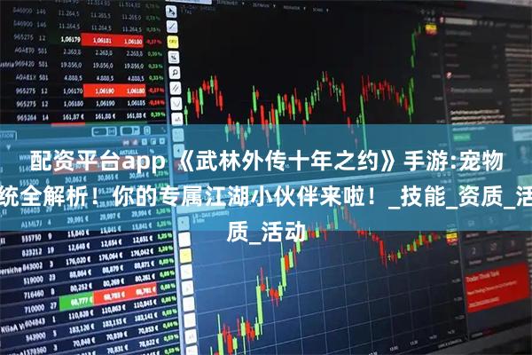 配资平台app 《武林外传十年之约》手游:宠物系统全解析！你的专属江湖小伙伴来啦！_技能_资质_活动